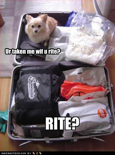 Hotel Tips for Spring Break