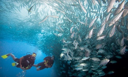 pcb spring break activities