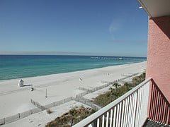 osprey on the gulf view