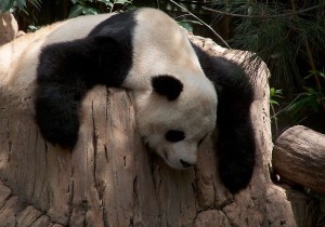 Drinking Games - Jiuling Drinking Games - Jiuling